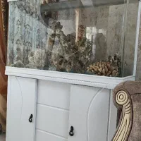 آکواریوم شرکتی شیشه خم ماهیران|لوازم جانبی حیوانات|همدان, |دیوار