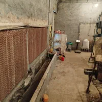 سالن پرورش مرغ تخمگذار|اجارهٔ دفتر صنعتی، کشاورزی، تجاری|فلاورجان, |دیوار