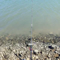 لنسردرسیلوانا