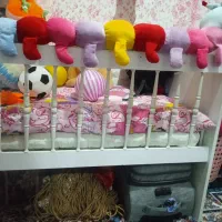 تخت کودک|تخت و صندلی بچه|مشهد, سیس‌آباد|دیوار