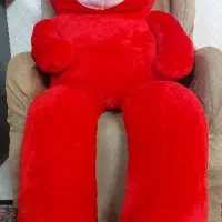 خرس قرمز