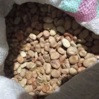 برنج فجر ۹۰روزه وباقلی درجه یک|خوردنی و آشامیدنی|خان ببین, |دیوار