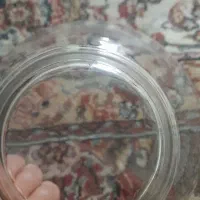 ۶عدد کاسه آبگوشت خوری با یه عدد دیس سالمه ۲۹۰|ظروف سرو و پذیرایی|مشهد, نوید|دیوار