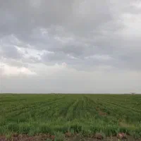 معاوضه یا تهاتر یک هکتار زمین .با ملک در کرج|فروش زمین و ملک کلنگی|تاکستان, |دیوار