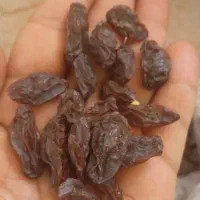 کشمش و مویز افتابی بیضا|خوردنی و آشامیدنی|بیضا, |دیوار