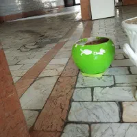 گلدان های سفالی و سرامیکی|صنایع دستی و سایر لوازم تزئینی|رباط‌کریم, رباط‌کریم|دیوار