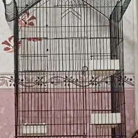 قفس پرنده