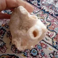 سنگ تز عینی برای اکواریوم و تز عینات|صنایع دستی و سایر لوازم تزئینی|خسروشاه, |دیوار