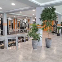 کاهش وزن تضمینی، برنامه بدنسازی و تغذیه اختصاصی