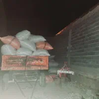 کاه دست بر شلیف شده