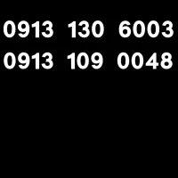 09131306003