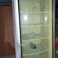 فریزر ایستاده ویترینی|کافیشاپ و رستوران|تهران, ایران|دیوار