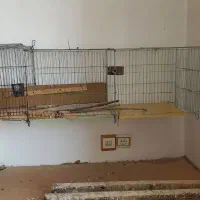 قفس پرنده ۲۰۰