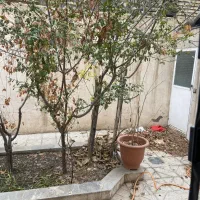 اپارتمان دوخواب همکف۹۰متری|اجارهٔ آپارتمان|مشهد, زمرد|دیوار