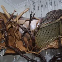 فروش میزبار چوبی با چوب گردو|بوفه، ویترین، کنسول|سهند, |دیوار