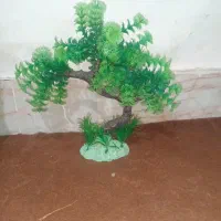 لوازم گل گیاه اکواریوم برای اکواریوم هایی بزرگ