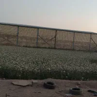 باغ ۲۰۰۰ متری