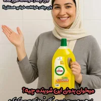 پاک کننده لینکس|مواد شوینده و دستمال کاغذی|خرمدره, |دیوار