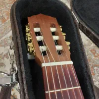 گیتار دوستی   C015 در حد نو|گیتار، بیس، امپلیفایر|اصفهان, سپاهان‌شهر|دیوار