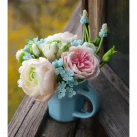 سلام سرسره زیبا استاندار