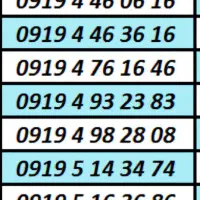 0919.3087616|سیمکارت|کرج, بنیاد|دیوار
