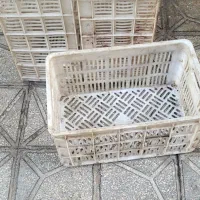 سبد گوجه،مرغ،اسباب کشی