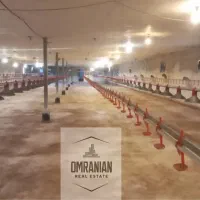 فروش مرغداری با تجهیزات کامل/۲۰ هزارتایی|فروش دفتر صنعتی، کشاورزی، تجاری|فومن, |دیوار