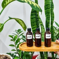 فروش روغن کندش   اصل