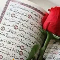 فال سرکتا