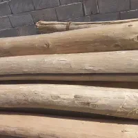 تیرچوبی۴متری