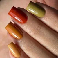 تخفیف ویژه 40درصدی هم آموزش هم خدمات