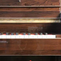 پیانو دیجیتال سوزوکی VG-88