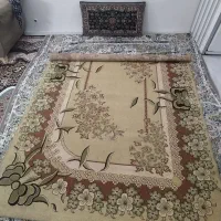 اسکوتر و دوچرخه|دوچرخه، اسکیت، اسکوتر|مشهد, فدک|دیوار