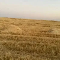کاه فروش