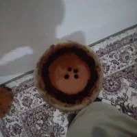 قلیون تنه چوبی