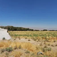 زمین 4 هکتار فرصت سرمایه گذاری