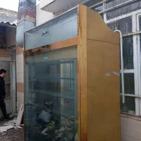 ایستاده زاگروس