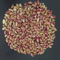 مغز لپه پسته|خوردنی و آشامیدنی|اصفهان, سعادت‌آباد|دیوار