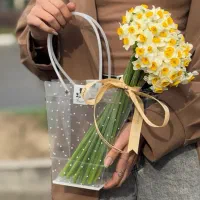 نرگس ( رایگان )