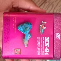 اکواریوم ماهی گوپی تزعینات حلزون|ماهی|اردبیل, |دیوار