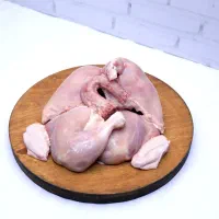 فروش مرغ و خروس گوشتی ارگانیک|حیوانات مزرعه|قم, علی آباد سعدگان|دیوار