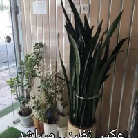 رهن و اجاره آپارتمان  طبقه دوم  سه طبقه ۶واحد