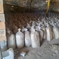 فروش تفاله چقندر و سیب