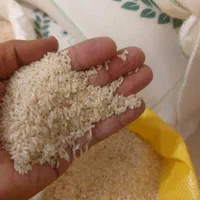 فروش و پخش برنج ایرانی