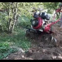 شخم زنی درخت