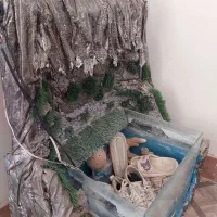 دوعدد آکواریم سالم