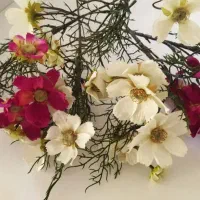 ۵شاخه گل به همراه گلدان