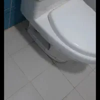 توالت فرنگی