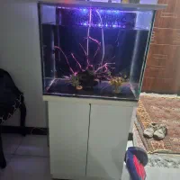 آکواریوم ۱۰ میل با ماهی