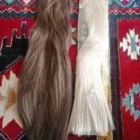 دوعددکلاه گیس
